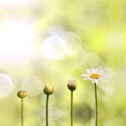 Ensemble, construisons un avenir durable