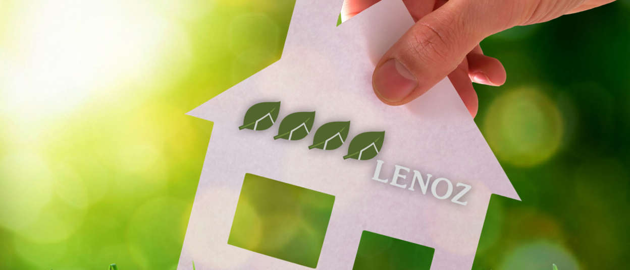 Illustration LENOZ 4 feuilles