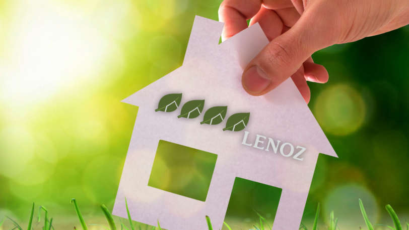 Illustration LENOZ 4 feuilles